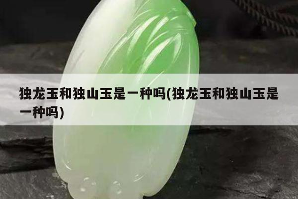 独龙玉和独山玉是一种吗(独龙玉和独山玉是一种吗)