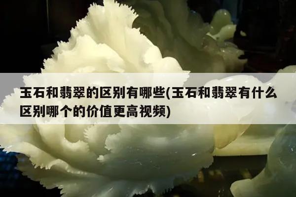 玉石和翡翠的区别有哪些(玉石和翡翠有什么区别哪个的价值更高视频)