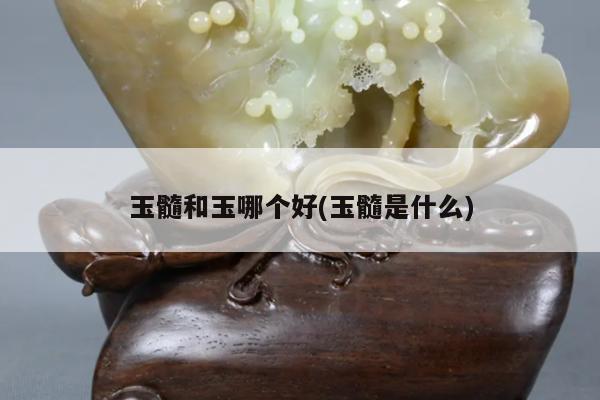 玉髓和玉哪个好(玉髓是什么)