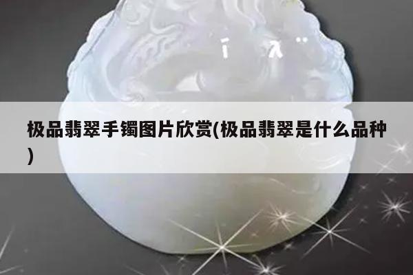 极品翡翠手镯图片欣赏(极品翡翠是什么品种)