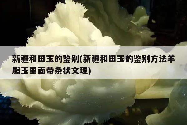 新疆和田玉的鉴别(新疆和田玉的鉴别方法羊脂玉里面带条状文理)