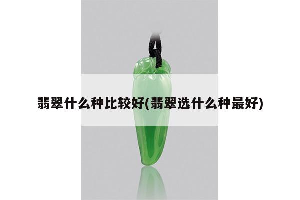 翡翠什么种比较好(翡翠选什么种最好)