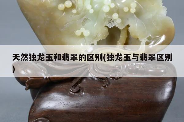 天然独龙玉和翡翠的区别(独龙玉与翡翠区别)