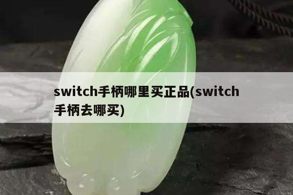 switch手柄哪里买正品(switch手柄去哪买)