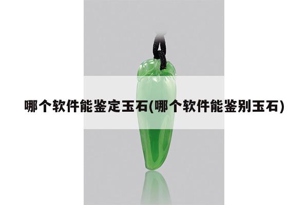 哪个软件能鉴定玉石(哪个软件能鉴别玉石)