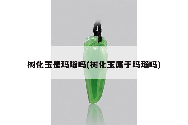 树化玉是玛瑙吗(树化玉属于玛瑙吗)
