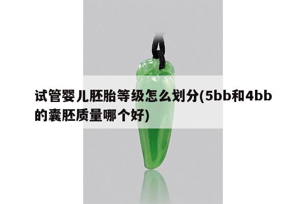 试管婴儿胚胎等级怎么划分(5bb和4bb的囊胚质量哪个好)