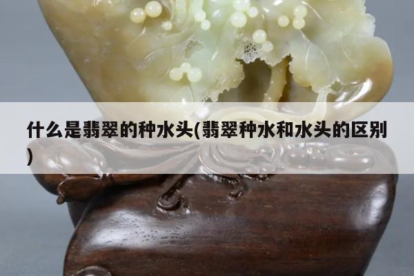 什么是翡翠的种水头(翡翠种水和水头的区别)