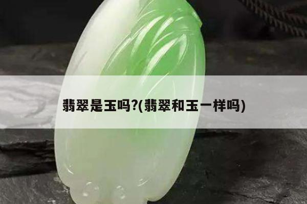翡翠是玉吗?(翡翠和玉一样吗)