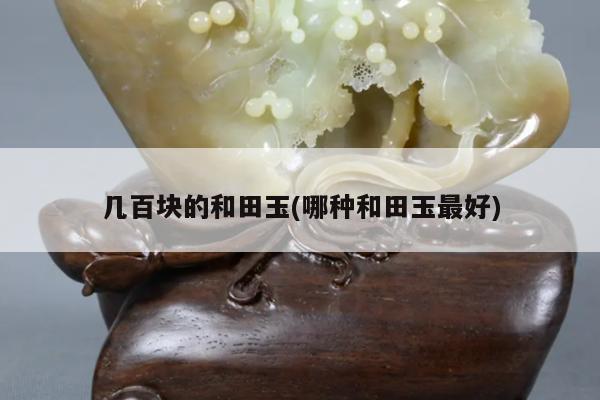 几百块的和田玉(哪种和田玉最好)