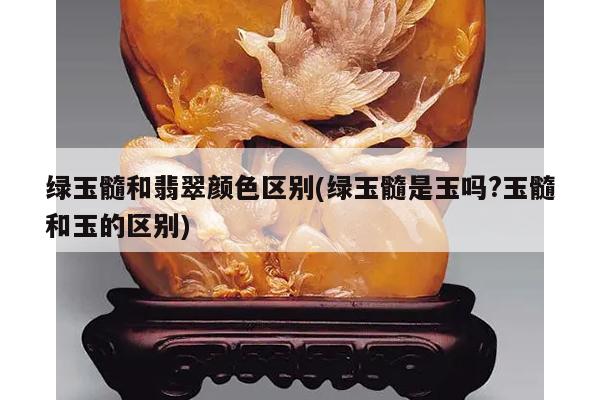 绿玉髓和翡翠颜色区别(绿玉髓是玉吗?玉髓和玉的区别)