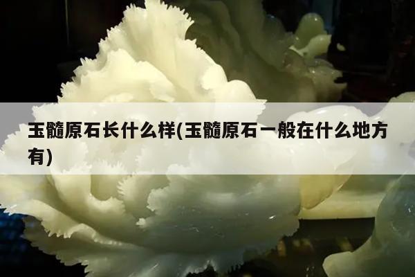 玉髓原石长什么样(玉髓原石一般在什么地方有)