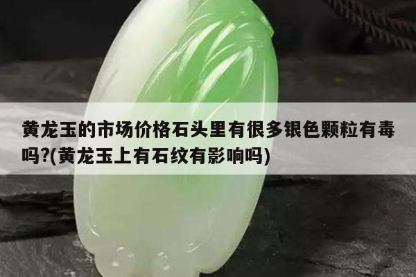 黄龙玉的市场价格石头里有很多银色颗粒有毒吗?(黄龙玉上有石纹有影响吗)