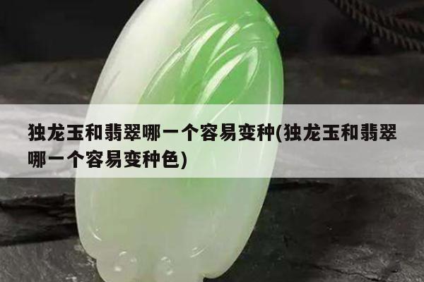 独龙玉和翡翠哪一个容易变种(独龙玉和翡翠哪一个容易变种色)