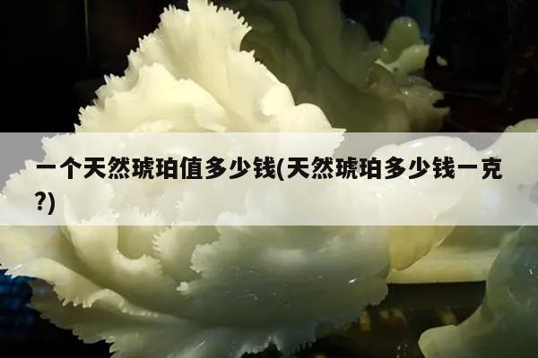 一个天然琥珀值多少钱(天然琥珀多少钱一克?)
