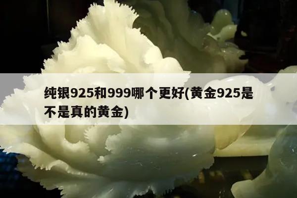 纯银925和999哪个更好(黄金925是不是真的黄金)