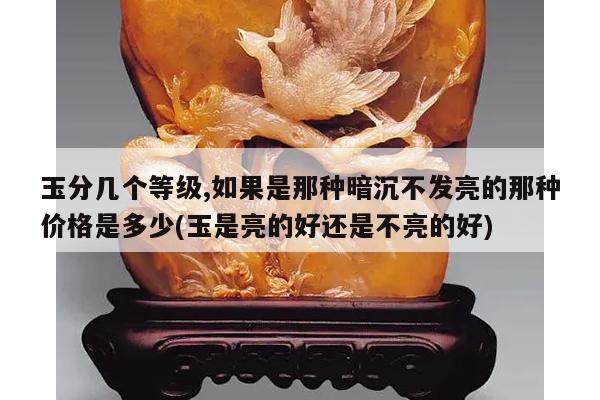 玉分几个等级,如果是那种暗沉不发亮的那种价格是多少(玉是亮的好还是不亮的好)