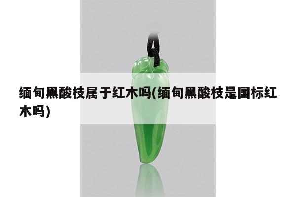 缅甸黑酸枝属于红木吗(缅甸黑酸枝是国标红木吗)