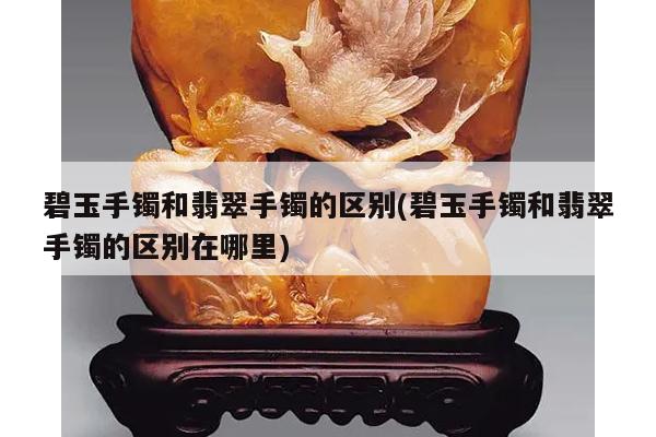 碧玉手镯和翡翠手镯的区别(碧玉手镯和翡翠手镯的区别在哪里)