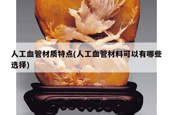人工血管材质特点(人工血管材料可以有哪些选择)
