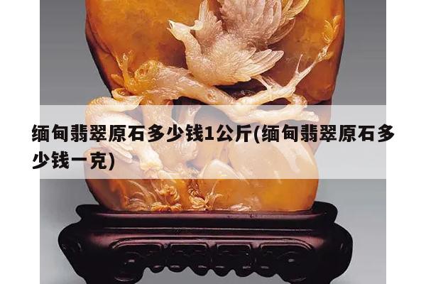 缅甸翡翠原石多少钱1公斤(缅甸翡翠原石多少钱一克)