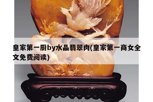皇家第一厨by水晶翡翠肉(皇家第一商女全文免费阅读)