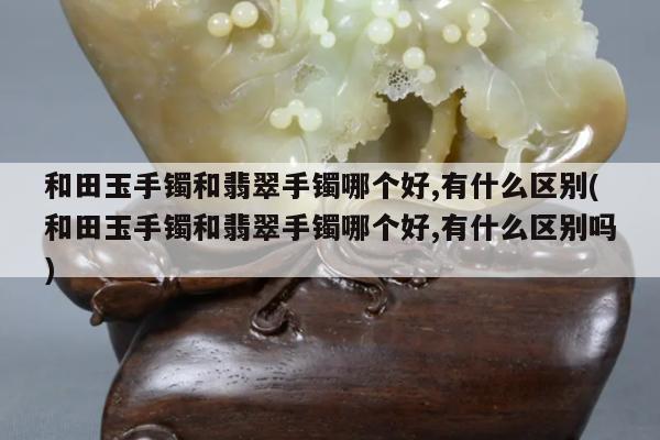 和田玉手镯和翡翠手镯哪个好,有什么区别(和田玉手镯和翡翠手镯哪个好,有什么区别吗)