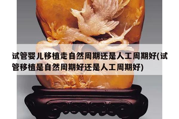 试管婴儿移植走自然周期还是人工周期好(试管移植是自然周期好还是人工周期好)