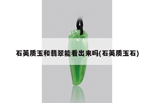 石英质玉和翡翠能看出来吗(石英质玉石)