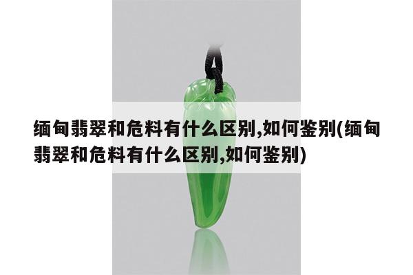 缅甸翡翠和危料有什么区别,如何鉴别(缅甸翡翠和危料有什么区别,如何鉴别)