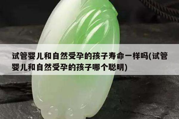 试管婴儿和自然受孕的孩子寿命一样吗(试管婴儿和自然受孕的孩子哪个聪明)