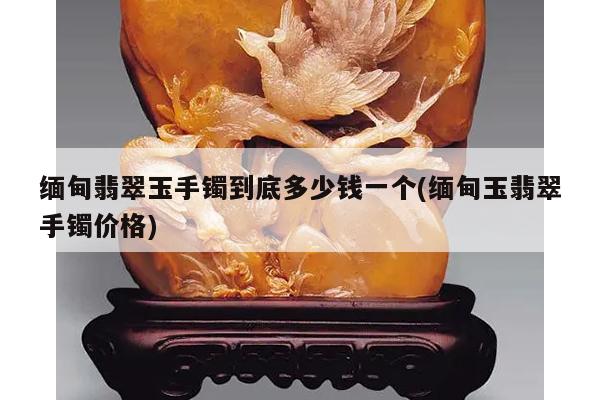 缅甸翡翠玉手镯到底多少钱一个(缅甸玉翡翠手镯价格)