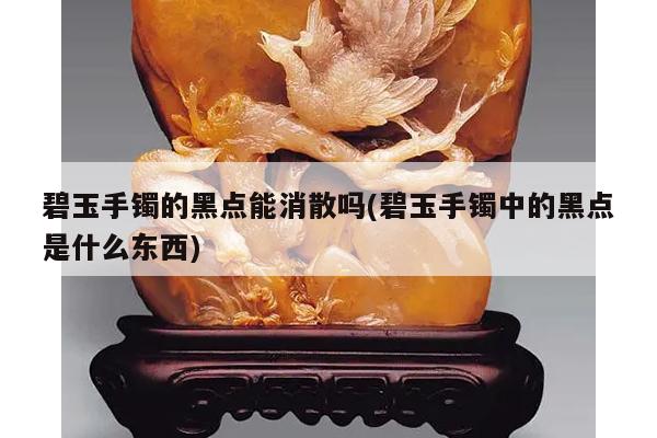 碧玉手镯的黑点能消散吗(碧玉手镯中的黑点是什么东西)