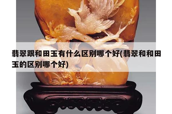 翡翠跟和田玉有什么区别哪个好(翡翠和和田玉的区别哪个好)