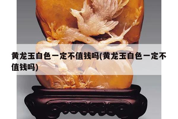 黄龙玉白色一定不值钱吗(黄龙玉白色一定不值钱吗)