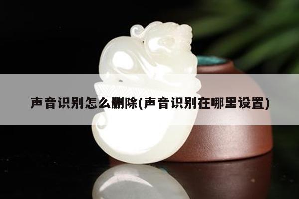 声音识别怎么删除(声音识别在哪里设置)