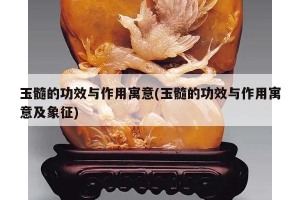玉髓的功效与作用寓意(玉髓的功效与作用寓意及象征)
