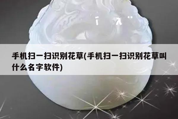 手机扫一扫识别花草(手机扫一扫识别花草叫什么名字软件)
