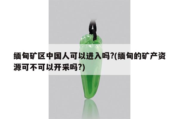 缅甸矿区中国人可以进入吗?(缅甸的矿产资源可不可以开采吗?)
