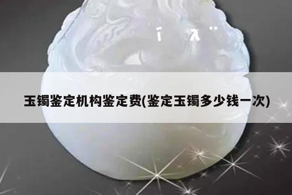 玉镯鉴定机构鉴定费(鉴定玉镯多少钱一次)
