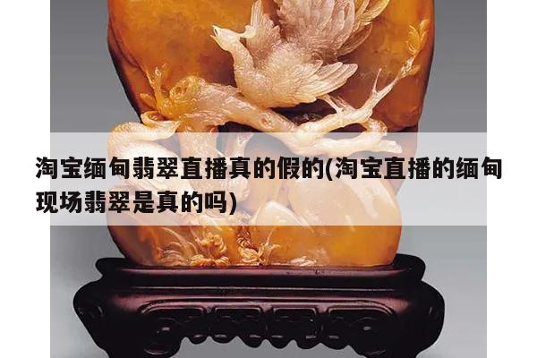 淘宝缅甸翡翠直播真的假的(淘宝直播的缅甸现场翡翠是真的吗)