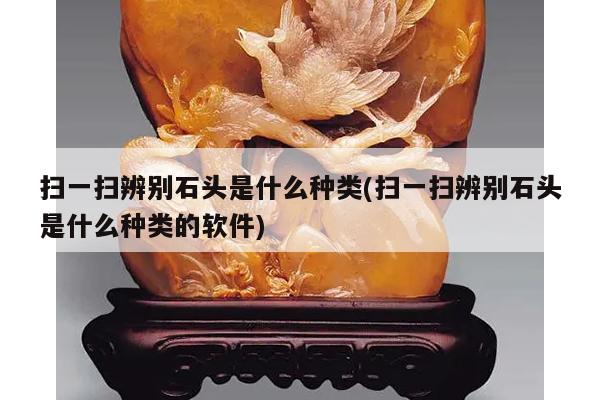 扫一扫辨别石头是什么种类(扫一扫辨别石头是什么种类的软件)