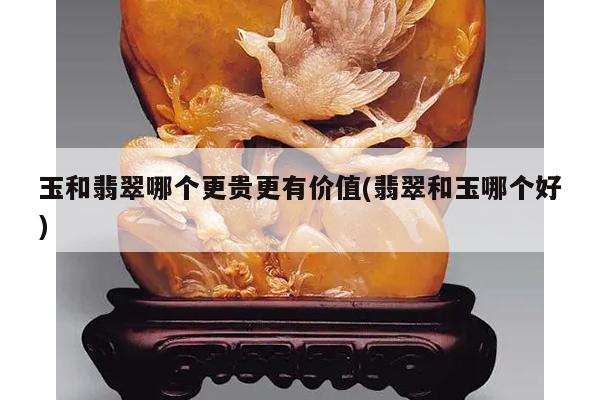 玉和翡翠哪个更贵更有价值(翡翠和玉哪个好)