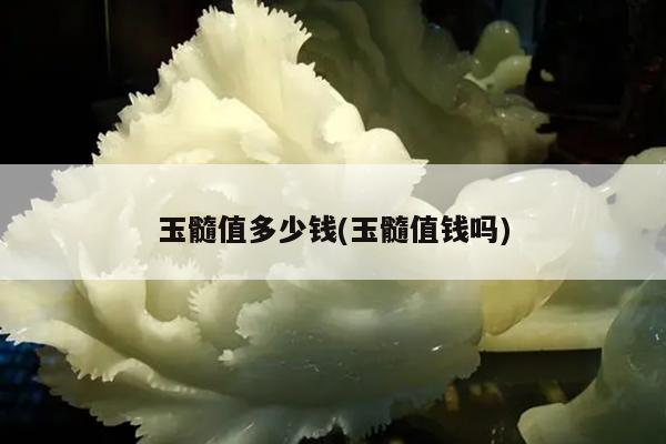 玉髓值多少钱(玉髓值钱吗)