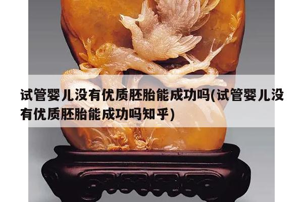 试管婴儿没有优质胚胎能成功吗(试管婴儿没有优质胚胎能成功吗知乎)