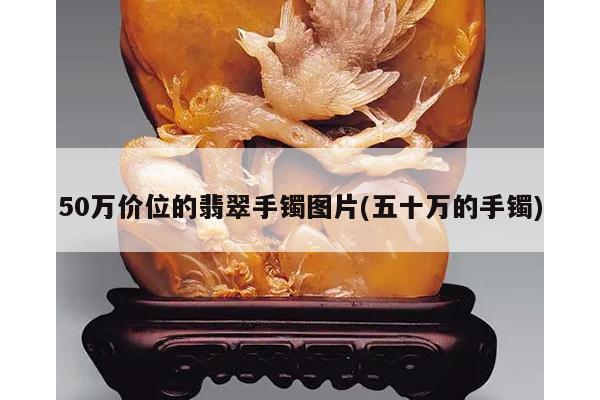 50万价位的翡翠手镯图片(五十万的手镯)