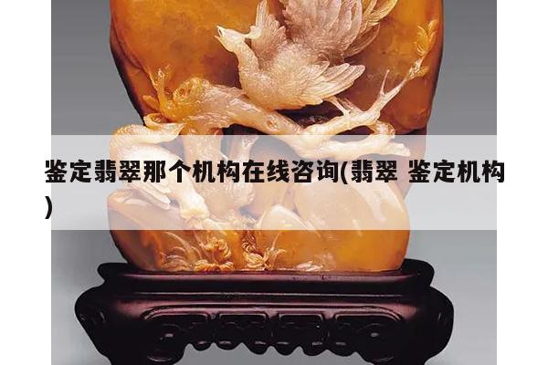 鉴定翡翠那个机构在线咨询(翡翠 鉴定机构)