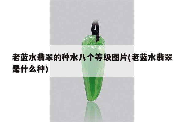 老蓝水翡翠的种水八个等级图片(老蓝水翡翠是什么种)