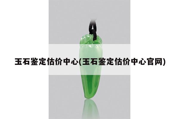 玉石鉴定估价中心(玉石鉴定估价中心官网)