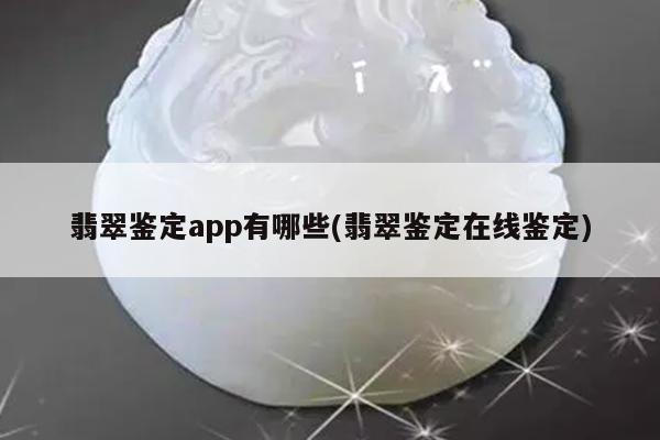 翡翠鉴定app有哪些(翡翠鉴定在线鉴定)